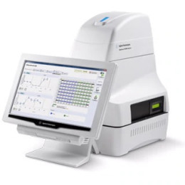 Seahorse XFe96 Analyzer